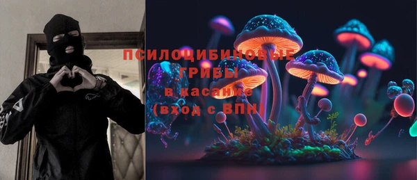 mdma Новозыбков