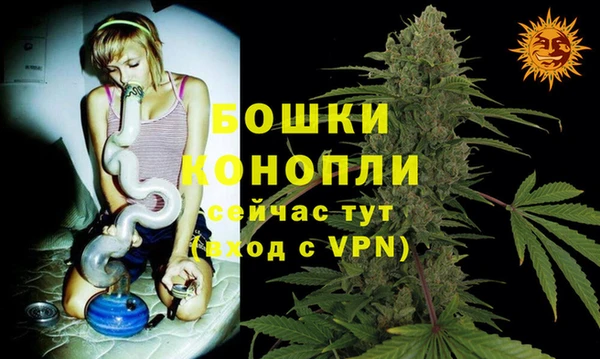 экстази Новодвинск