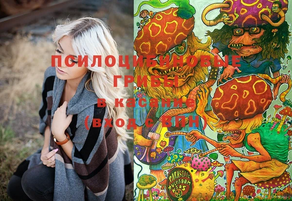 твердый Нягань