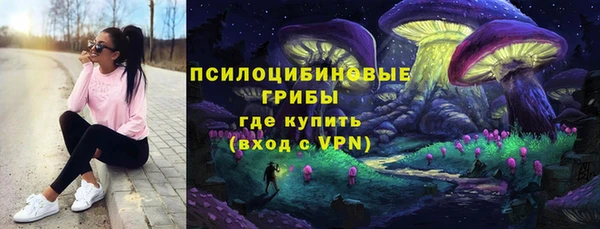 экстази Новодвинск