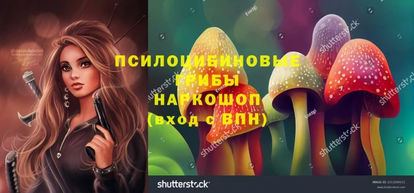 каннабис Новокубанск