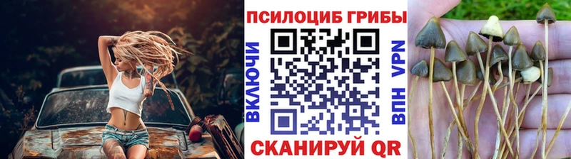 Псилоцибиновые грибы MAGIC MUSHROOMS  Островной 